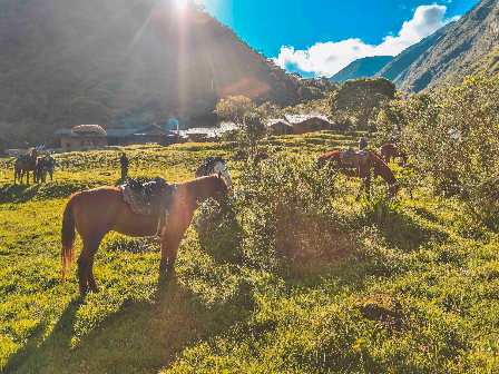 Ride to Machu Picchu, Peru 